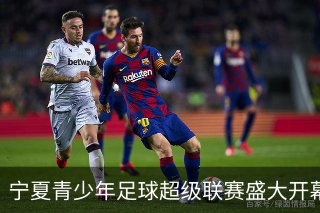 宁夏青少年足球超级联赛盛大开幕，30队708名小将齐聚绿茵场